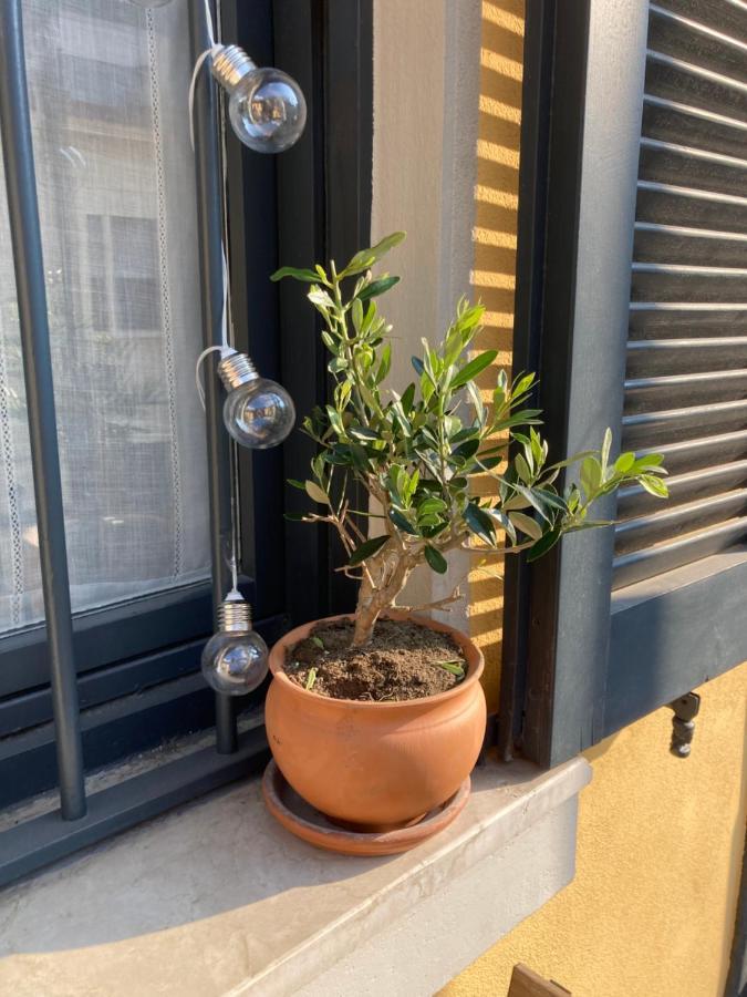 Appartement Squisito In Stabile Vecchia *